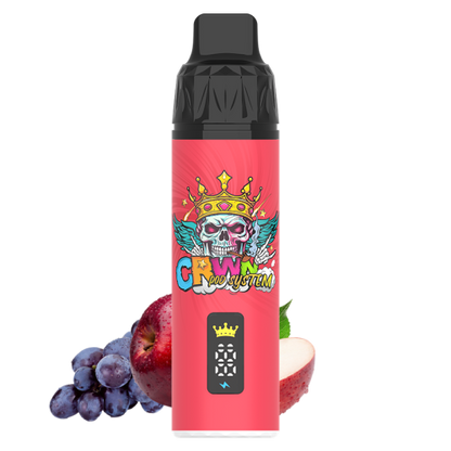 CRWN 9000 Puffs Pod Kit