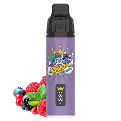 CRWN 9000 Puffs Pod Kit