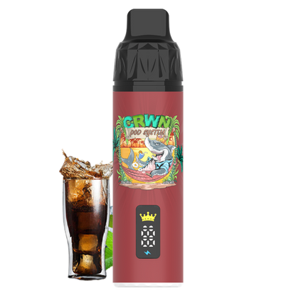 CRWN 9000 Puffs Pod Kit