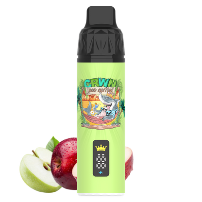 CRWN 9000 Puffs Pod Kit