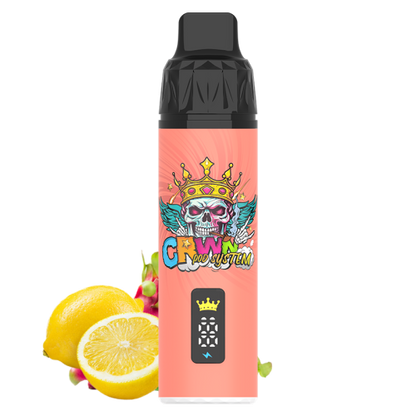 CRWN 9000 Puffs Pod Kit
