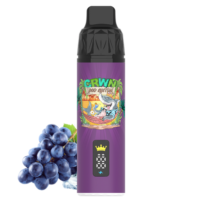 CRWN 9000 Puffs Pod Kit