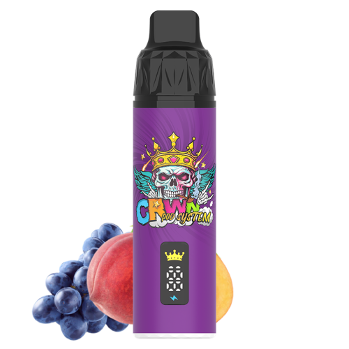 CRWN 9000 Puffs Pod Kit Prefilled for 11.25 Only CRWN 9000 Puffs Pod Kit Prefilled for 11.25 Only