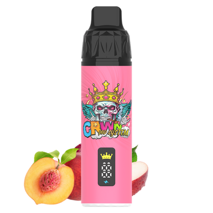 CRWN 9000 Puffs Pod Kit