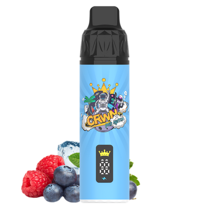 CRWN 9000 Puffs Pod Kit