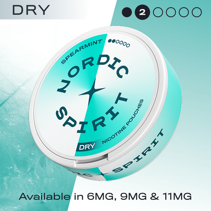 Nordic Spirit nicotine pouches container with spearmint flavor on a light blue background
