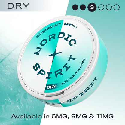 Nordic Spirit nicotine pouches packaging with spearmint flavor on a light blue background
